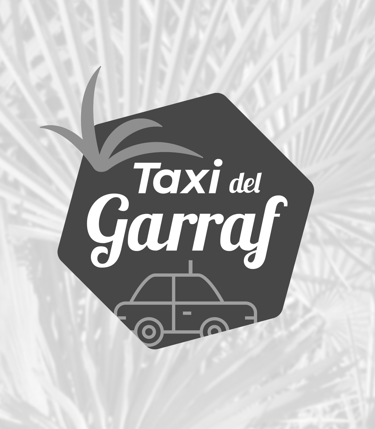Orion Estudi Porfolio Taxi del Garraf A